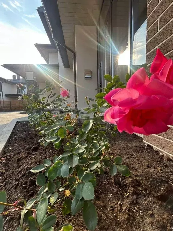 Таунхаус в Тюменская область, Тюмень Фирменная ул. (170 м) - Фото 1