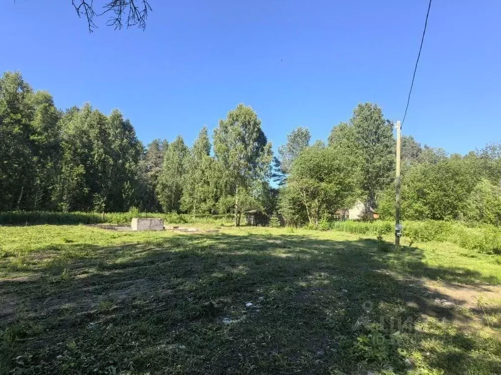 Участок в Ленинградская область, Лодейнопольский район, Доможировское ... - Фото 2