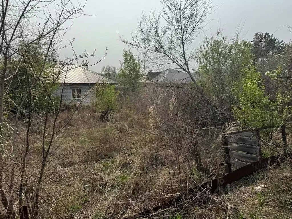 Участок в Амурская область, Благовещенский район, с. Чигири  (5.37 ... - Фото 1