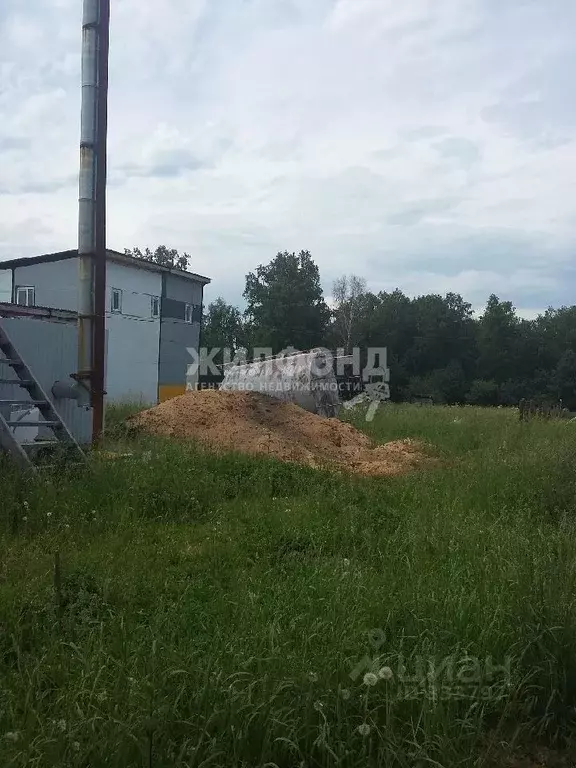 Производственное помещение в Новосибирская область, Мошковский район, ... - Фото 1