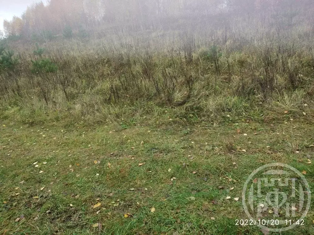 Участок в Ленинградская область, Лужский район, Торковичское с/пос, д. ... - Фото 0
