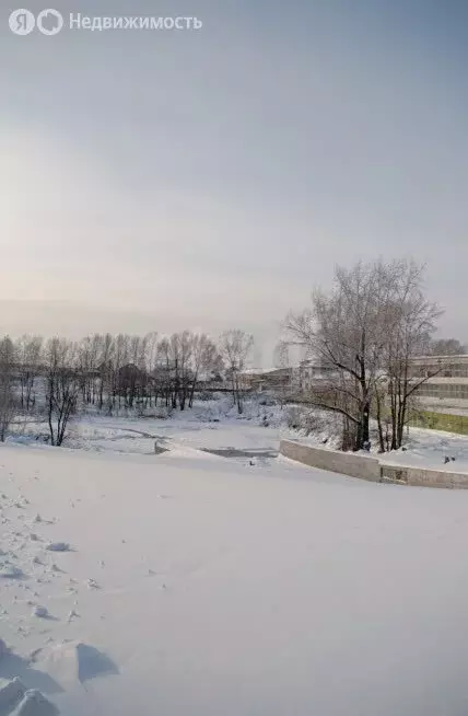 Дом в Новосибирская область, рабочий посёлок Сузун, улица Черкасова ... - Фото 2