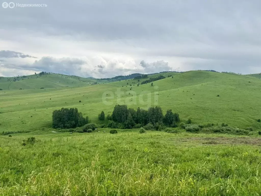 Участок в Алтайский район, ДНТ Жемчужина Алтая, Звездный бульвар (10.5 ... - Фото 1
