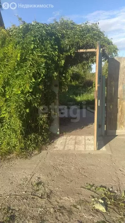 Участок в Южноуральск, СНТ Ремонтник, Виноградная улица (5.82 м) - Фото 0