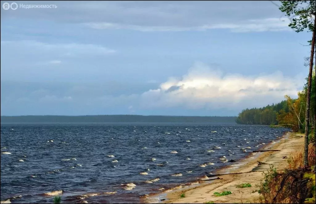 Участок в Гирвасское сельское поселение, деревня Антипинская (54.67 м) - Фото 1