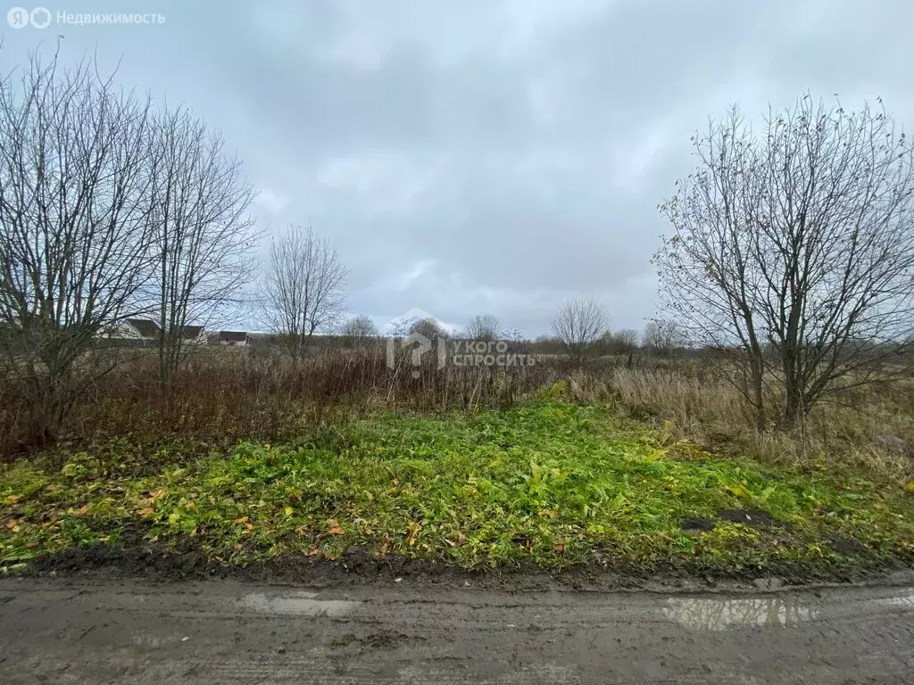 Участок в деревня Гостилицы, Земляничная улица, 11 (10 м) - Фото 1