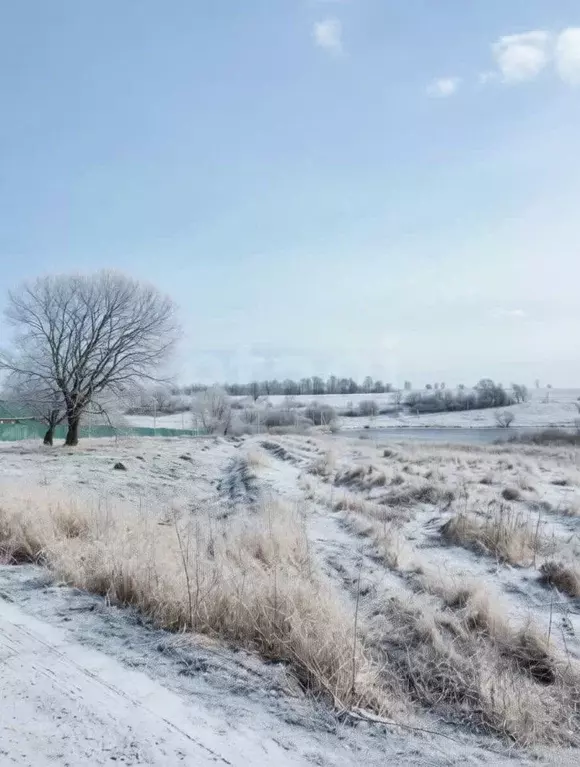 Участок в Тульская область, Тула городской округ, д. Ратово 39 (81.77 ... - Фото 1