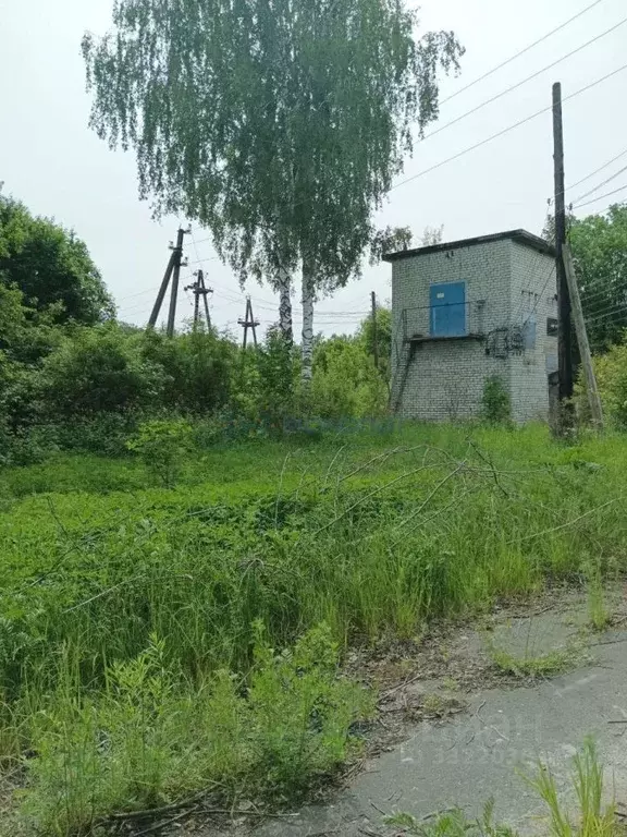 Производственное помещение в Нижегородская область, Городецкий ... - Фото 2