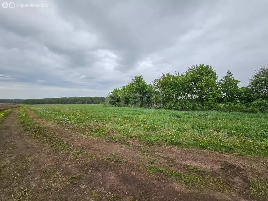 Участок в Тукаевский район, село Биклянь (77.2152 м) - Фото 1