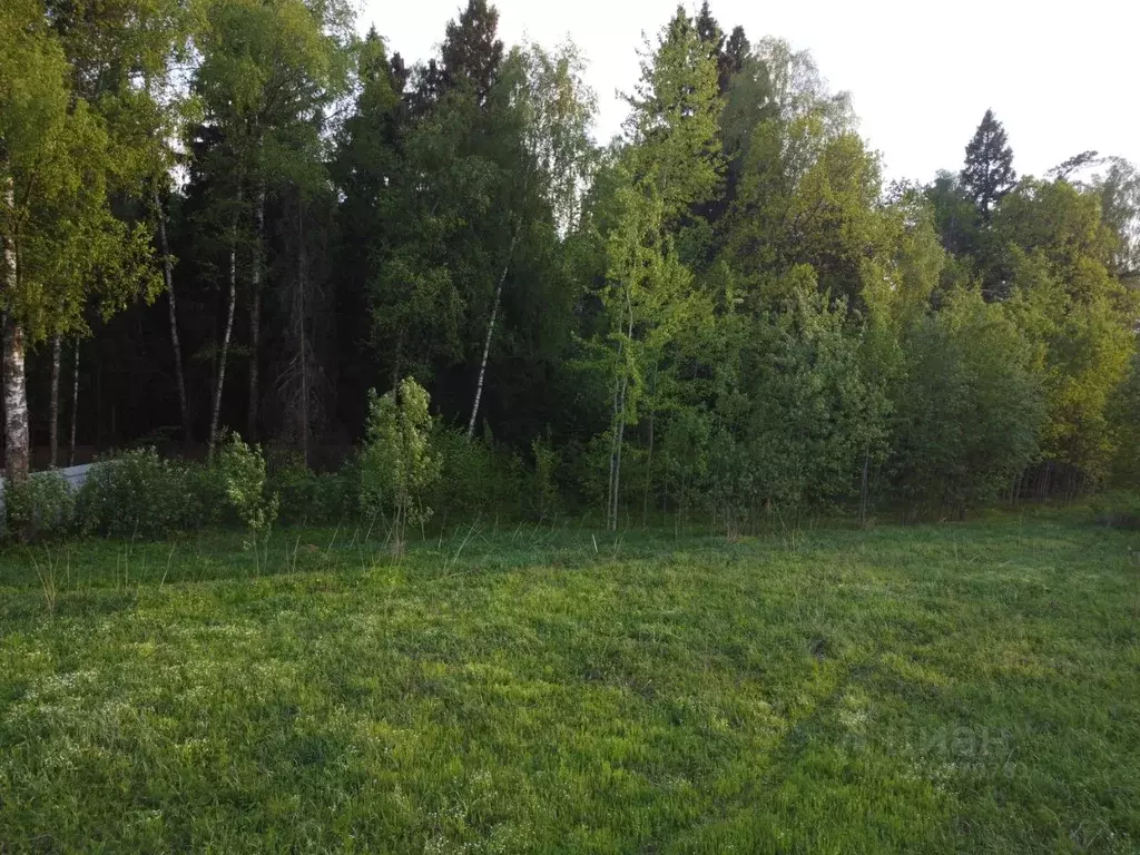 Участок в Московская область, Щелково городской округ, Лесной-1 кв-л  ... - Фото 1