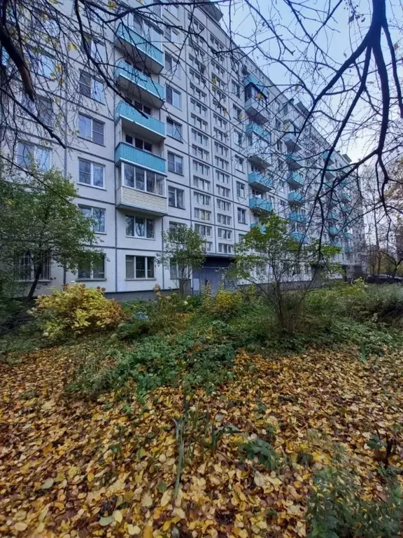 3-к кв. Санкт-Петербург Заневский просп., 59 (59.0 м) - Фото 1