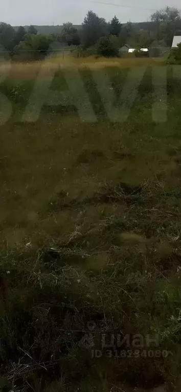 Участок в Саратовская область, Петровск пер. 3-й Степана Разина, 4 ... - Фото 1