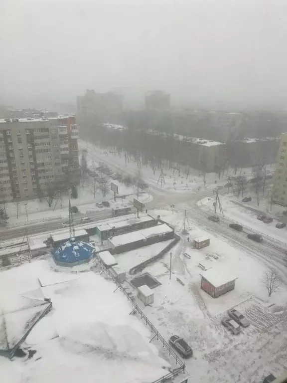 1-к кв. Ленинградская область, Всеволожск Ленинградская ул., 18к1 ... - Фото 2