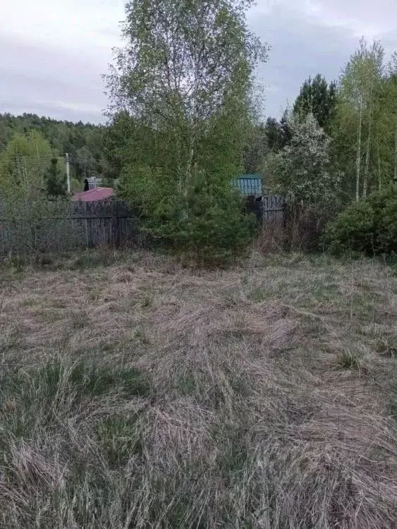 Участок в Иркутская область, Иркутский муниципальный округ, Труженик ... - Фото 2