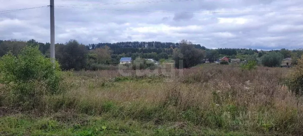 Участок в Мордовия, Саранск городской округ, д. Танеевка ул. ... - Фото 1