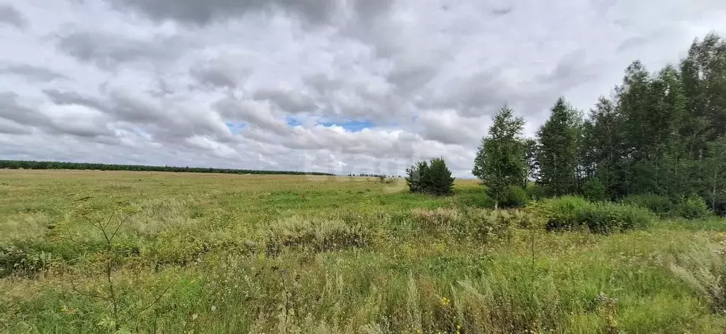 Участок в Свердловская область, Белоярский пгт  (1160.0 сот.) - Фото 1