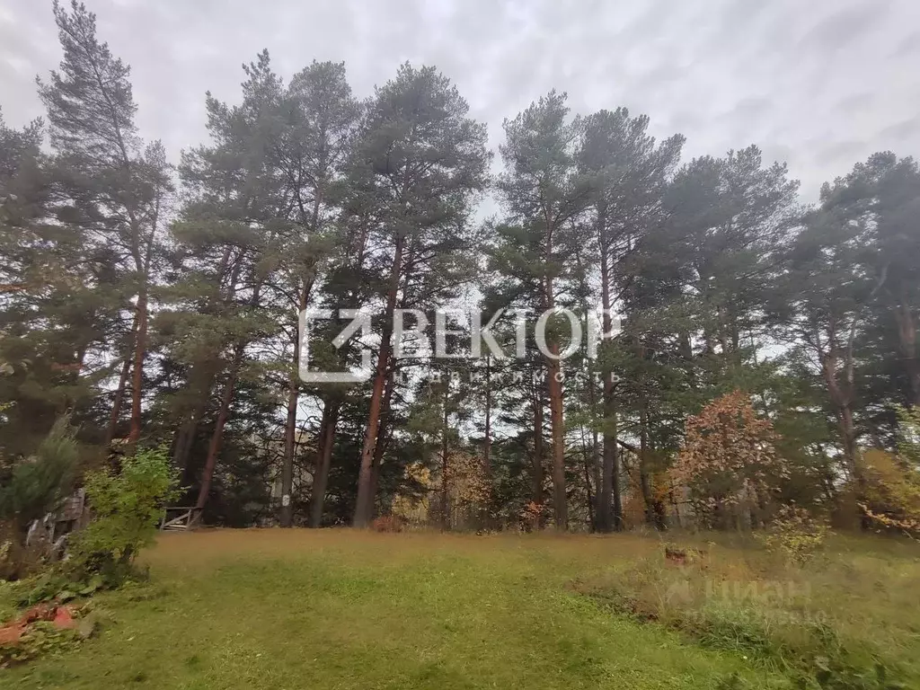 1-к кв. Ярославская область, Ярославский муниципальный округ, пос. ... - Фото 1