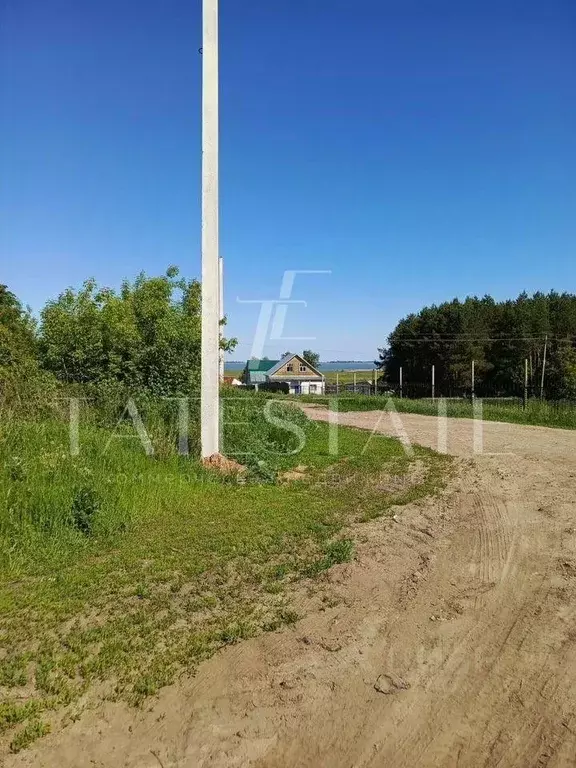 Участок в Татарстан, Лаишевский район, Рождественское с/пос, с. ... - Фото 1