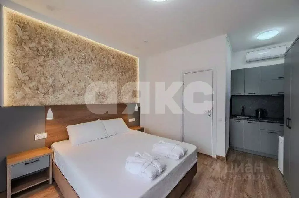 Студия Краснодарский край, Сочи Главная ул., 9/7 (17.3 м) - Фото 0