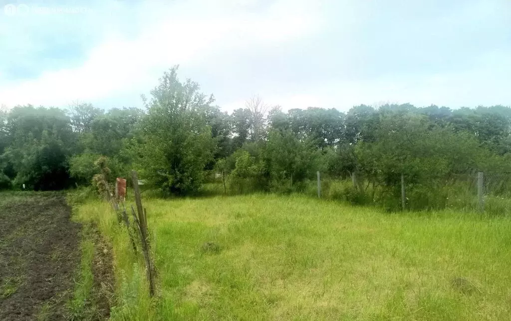 Участок в Орёл, НСТ Механизатор, 205 (3.8 м) - Фото 2