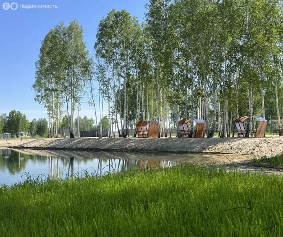 Участок в Тюменская область, Нижнетавдинский муниципальный округ (4.6 ... - Фото 2