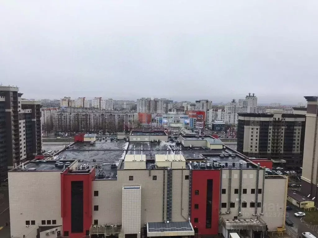 Студия Воронежская область, Воронеж ул. Загоровского, 7к2 (31.0 м) - Фото 1