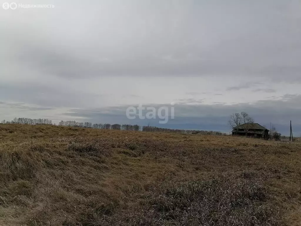 Участок в Курганская область, Варгашинский муниципальный округ, ... - Фото 0