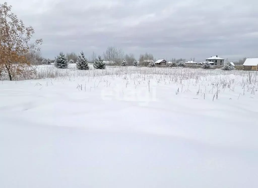 Участок в Томская область, Северск городской округ, пос. Самусь ул. ... - Фото 2
