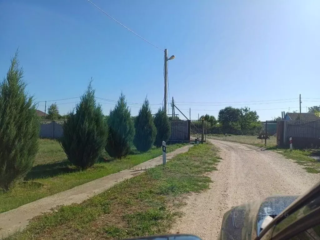 Участок в Волгоградская область, Среднеахтубинский район, Красное ... - Фото 1