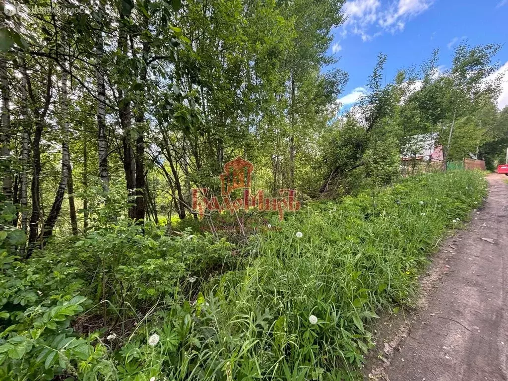 Участок в Сергиево-Посадский городской округ, СНТ Парус-1 (6 м) - Фото 1