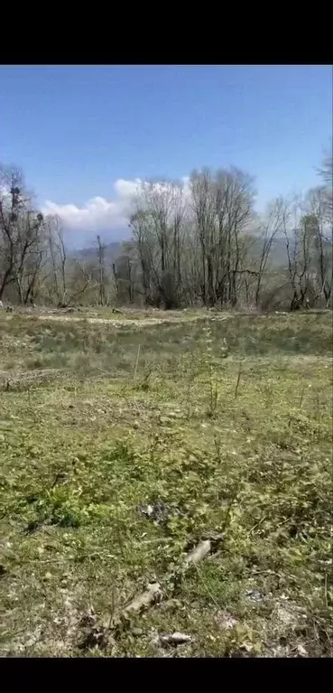 Участок в Краснодарский край, Сочи городской округ, с. Ермоловка  (4.0 ... - Фото 1