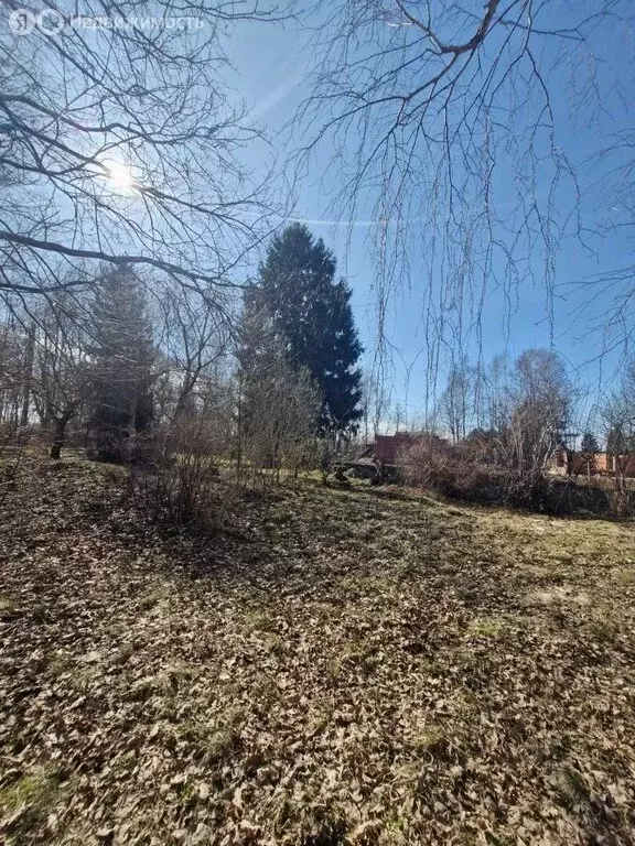 Участок в посёлок Заозерье, Центральная улица, 41В (25 м) - Фото 1
