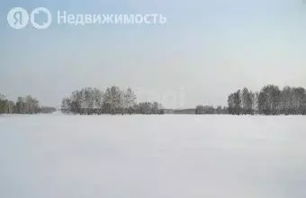 Участок в Совхозный сельсовет, поселок Маяк, Берёзовая улица (10 м) - Фото 2