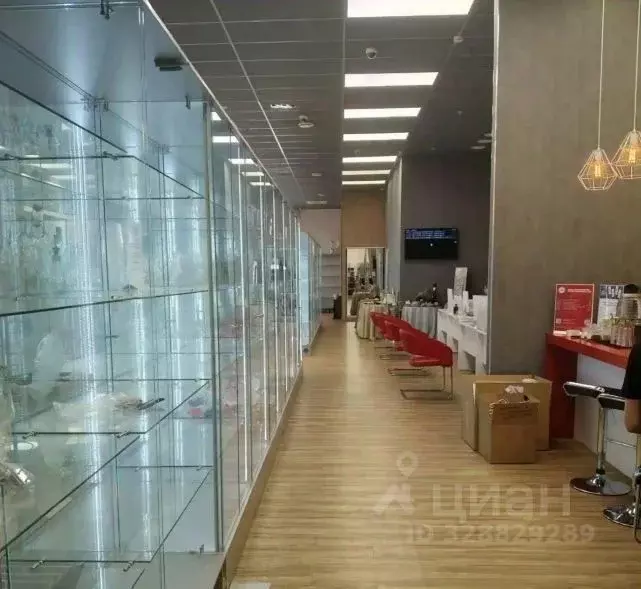 Помещение свободного назначения в Санкт-Петербург ул. Профессора ... - Фото 2