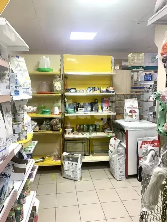 Торговая площадь в Калужская область, Козельск ул. Чкалова, 14 (100 м) - Фото 1