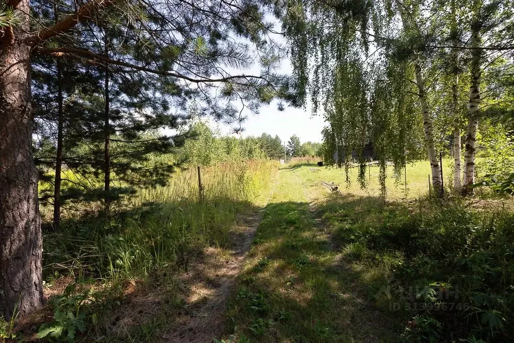 Участок в Владимирская область, Владимир сад Заречье, 133 (10.0 сот.) - Фото 0
