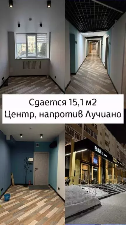 Помещение свободного назначения в Татарстан, Казань Лево-Булачная ул., ... - Фото 1