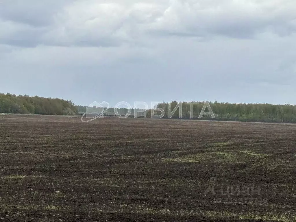 Участок в Тюменская область, Тюменский район, Горьковское ... - Фото 1