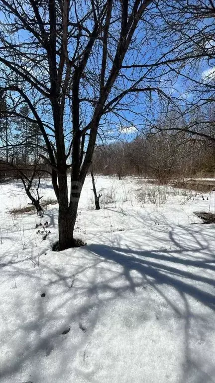 Участок в Амурская область, Благовещенск Завода Амурский Металлист СТ, ... - Фото 1