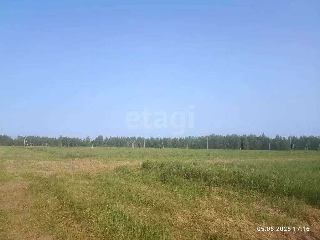 Участок в Костромская область, Кострома  (15.14 сот.) - Фото 2