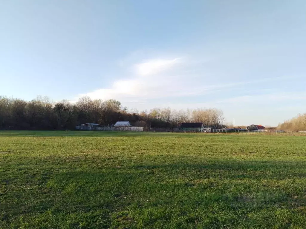 Участок в Краснодарский край, Калининский район, Гривенское с/пос, ... - Фото 2