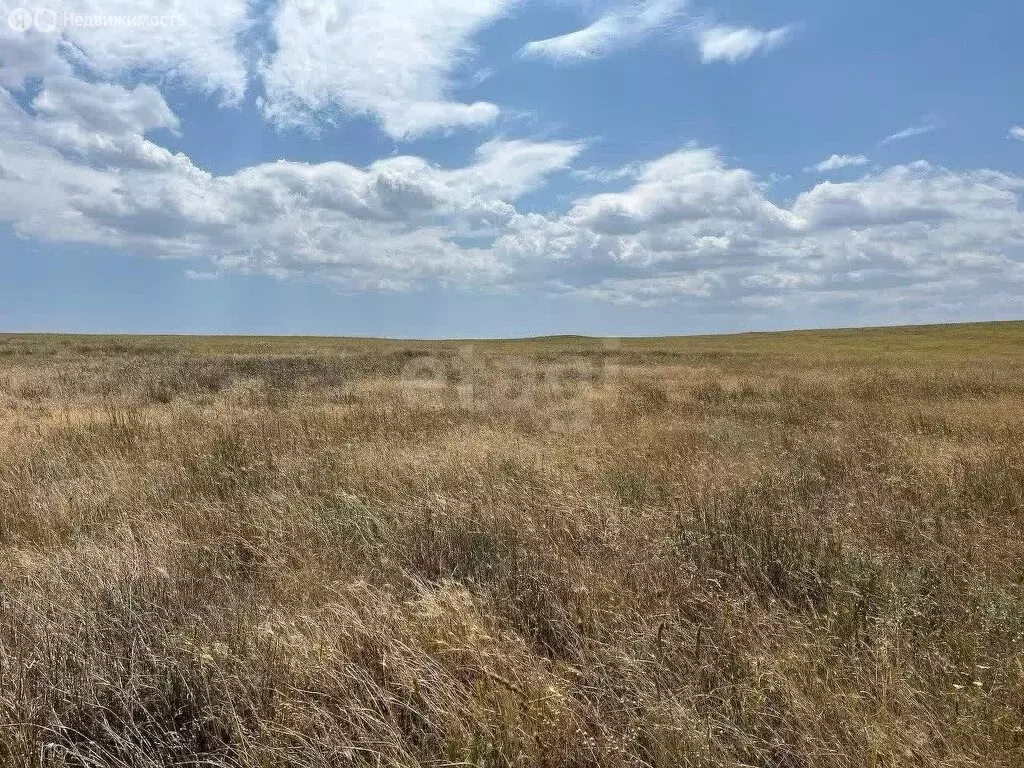 Участок в Калиновка, улица Абденановой (6.31 м) - Фото 2