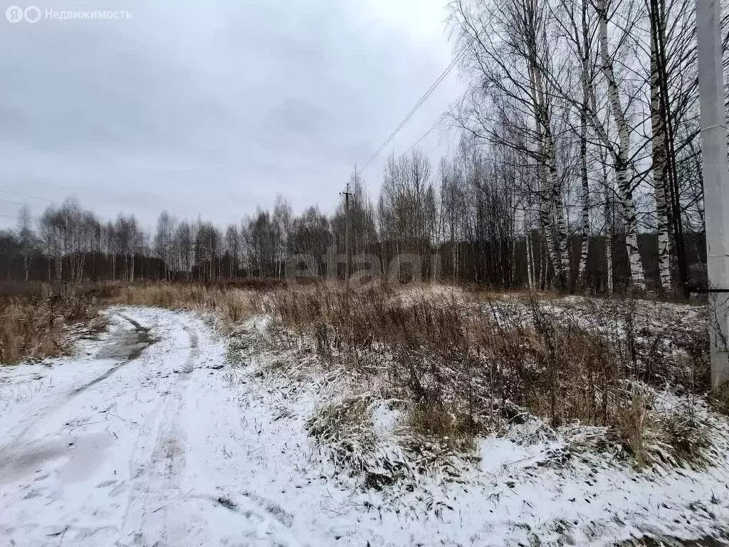 Участок в Кострома, Заволжский район (1154.33 м) - Фото 2