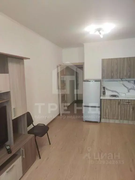Студия Санкт-Петербург Комендантский просп., 64к1 (24.6 м) - Фото 1