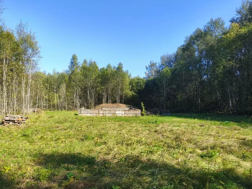 Участок в Московская область, Рузский городской округ, с. Покровское  ... - Фото 0