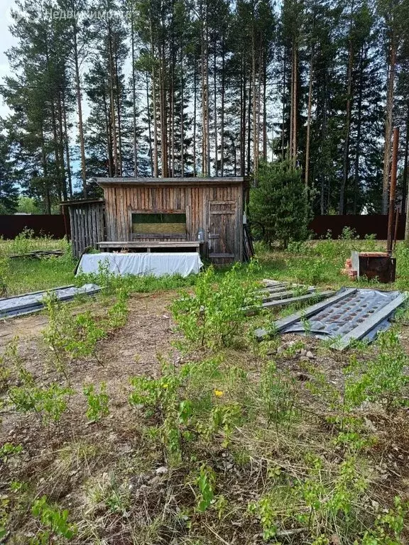 Участок в село Шошка, территория Местечко Шурганово, 37 (10 м) - Фото 1