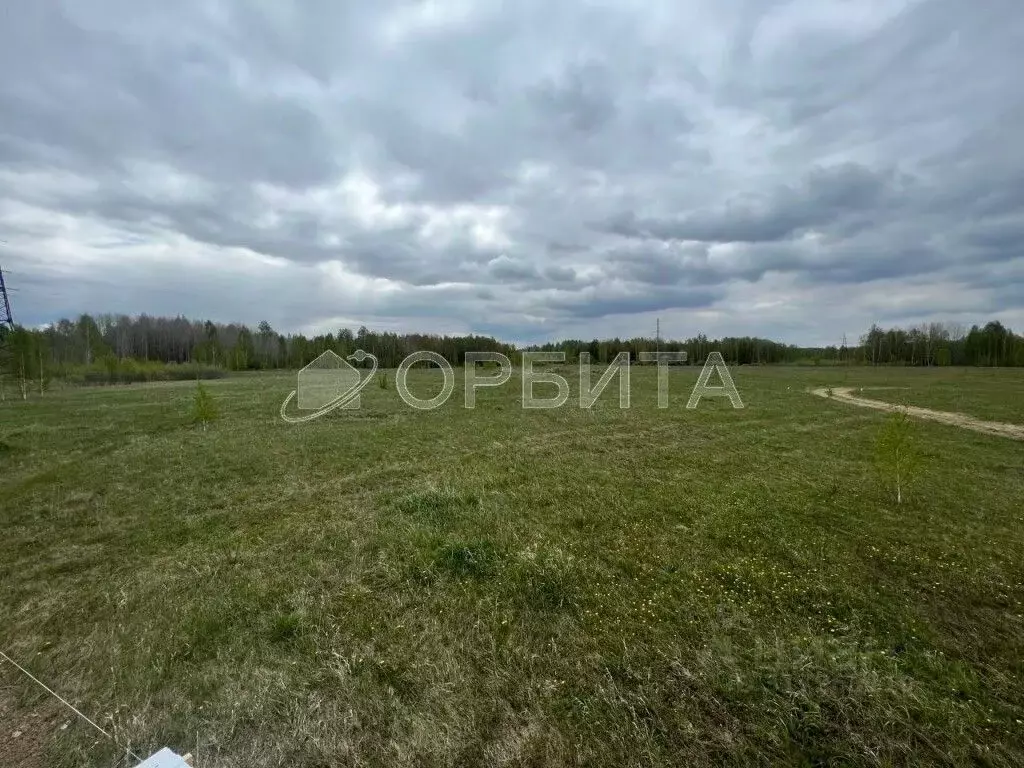 Участок в Тюменская область, Тюмень Садовое товарищество Липовый ... - Фото 0