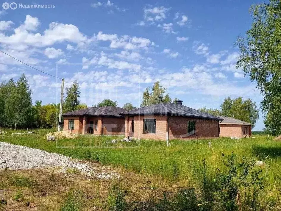 Дом в Новая Усмань, Виноградная улица, 76 (94 м) - Фото 0