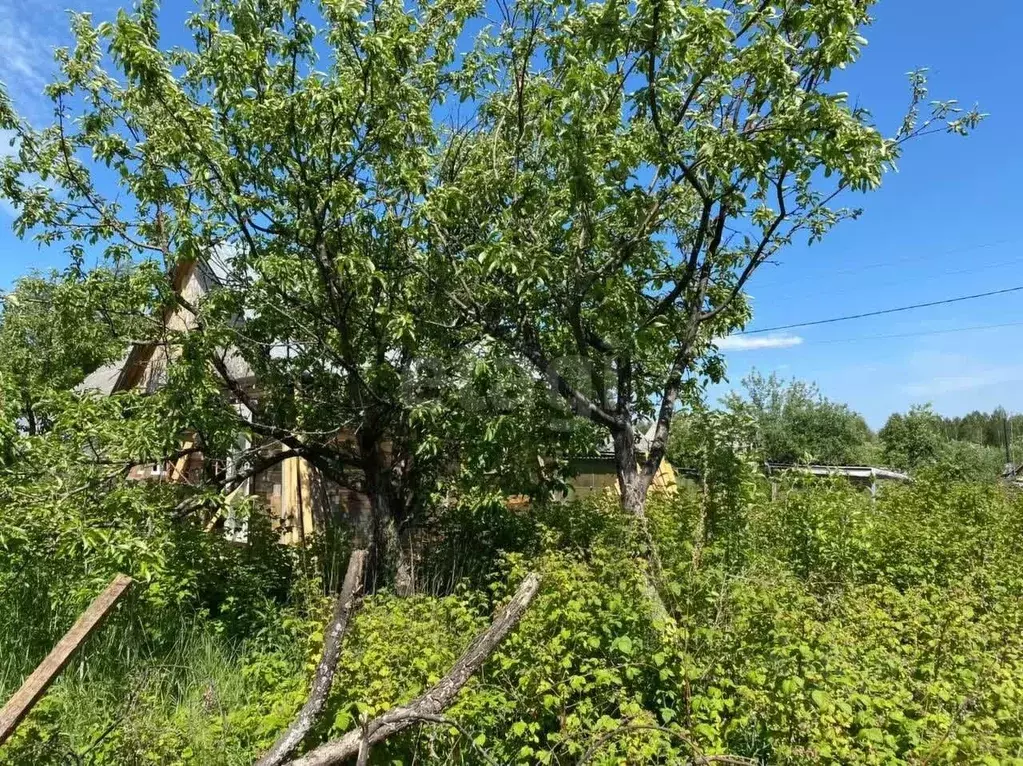 Дом в Свердловская область, Нижний Тагил Горняк-1 СНТ,  (30 м) - Фото 1