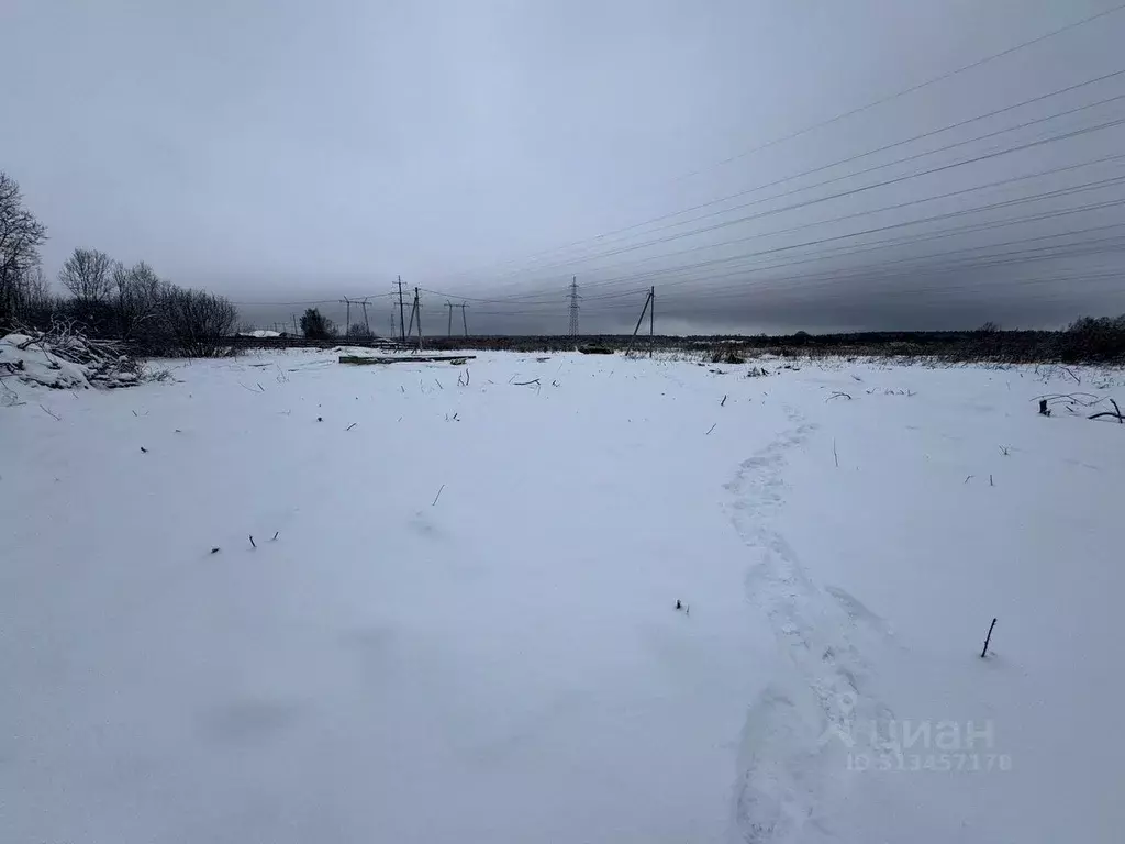 Участок в Московская область, Наро-Фоминский городской округ, д. ... - Фото 0